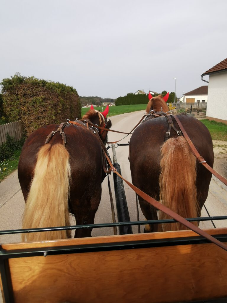 Kutschfahrt in Ihrlerstein